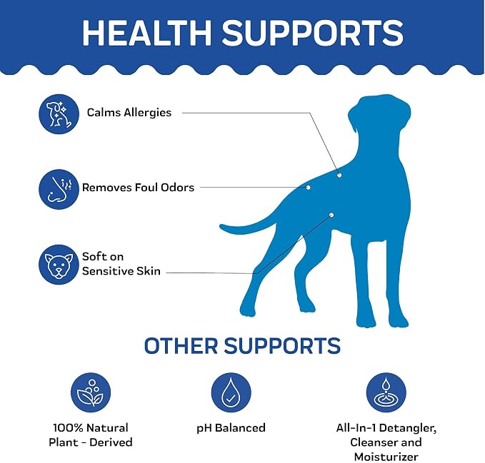 Innovet Pet Products All Natural Oatmeal & Honey Shampoo + Conditioner for Dogs Cats & Small Pets - 16 Oz - No Tear Shampoo for Allergies, Sensitive, Dry Itchy Skin Relief | Made in USA