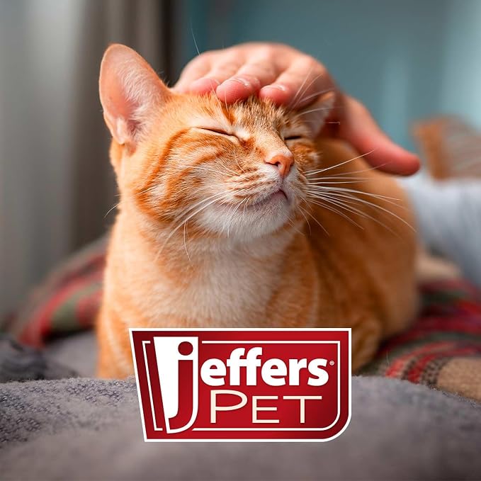 Jeffers Pet Vanilla Walnut Conditioning Dog & Cat Shampoo, 128 oz – Deodorizing Grooming Wash, Coconut Based Soap Free Formula, Walnut Oil & Vanilla Extract, Vitamins A D E, Concentrated Coat Care