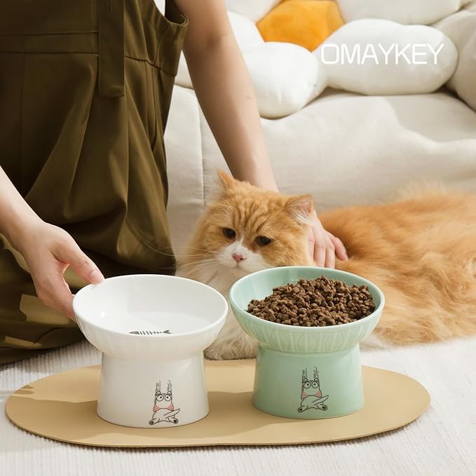 6.5 Inch Tilted Elevated Cat Bowls, Ceramic Extra Wide Raised Cat Bowl Set | Prevent Neck, Whisker Fatigue, Anti Vomit, for Cats Puppies, Dishwasher Microwave Safe, White & Green