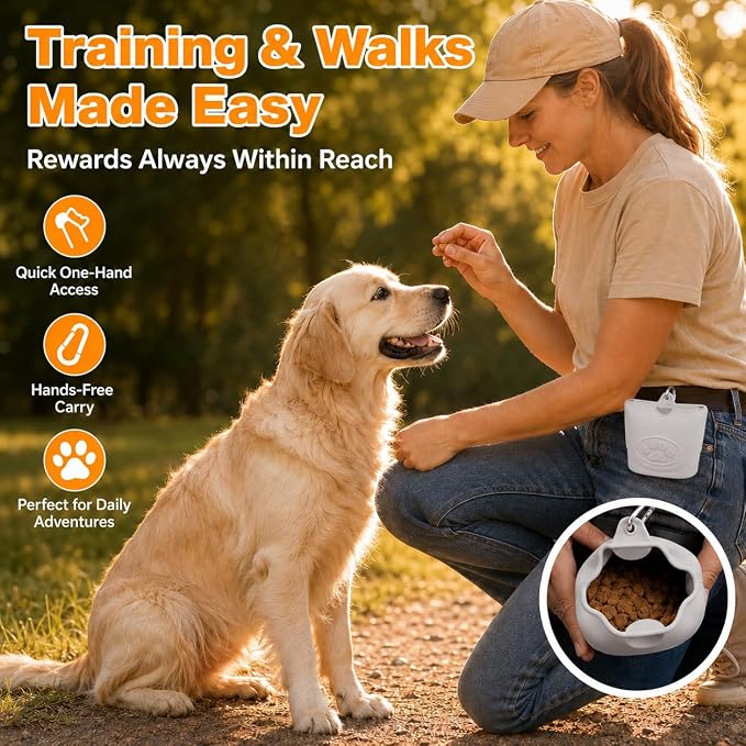 Upgraded Dog Treat Pouch with Strong Magnetic Closure - Small Silicone Training Bag, Waist-Mounted Clip & Leash Carabiner, Airtight Portable Treat Bag (Light Gray)