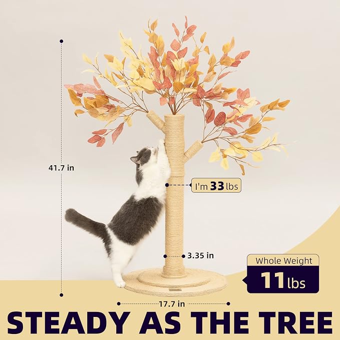 Meowoou Cat Scratching Post for Indoor Cats Adults 42 Inch Tall Cat Scratcher with Sisal Rope for Kittens and Medium Large Cats Multi-Colored