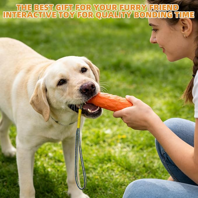 KOOLTAIL Floating Dog Toys, Interactive Water Pool Fetching Toy with Durable Rope, 11.4'' EVA Bright Bumper Dog Chew Toys for Medium Large Dogs, Summer OutdoorTraining Teething, Orange