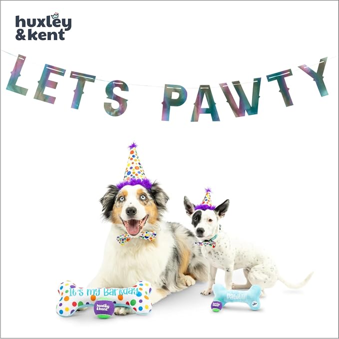 Huxley & Kent Celebration Box for Dogs - Fun Gift Kit with Plush Squeaky Toys, Party Hat, Bow Tie & Banner - Birthday, Gotcha Day & Special Occasion Dog Kit - Happy Barkday Box, Large