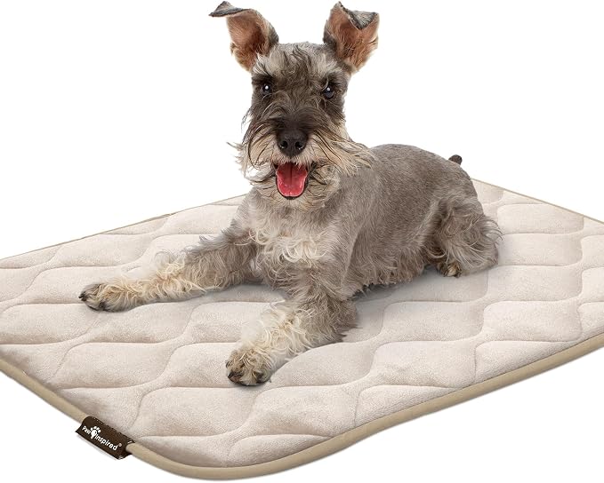 Paw Inspired Washable Padded Crate Mats for Dogs, Beige, 35x22 Inch | Fits 36-inch Kennels, Leakproof, Waterproof Bottom, Plush Dog Pad, Pet Bed