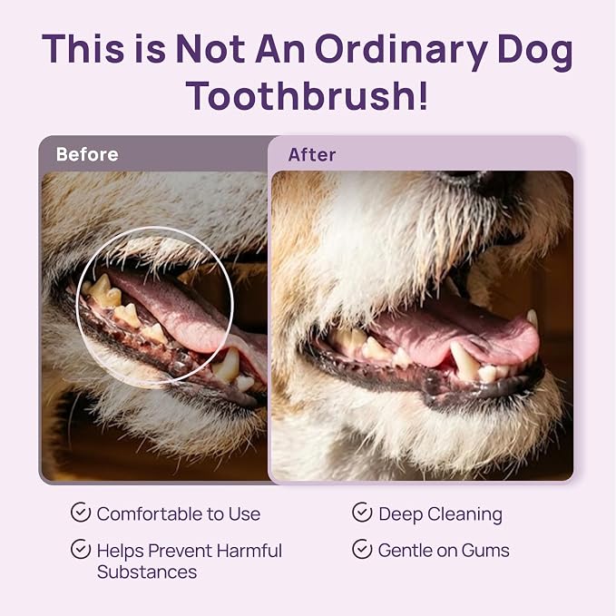 HICC PET Toothbrush for Dogs & Large Cats, Ergonomic Pet Toothbrush for Easy Teeth Cleaning,Gentle on Gums, Cat & Dog Oral Care – Toothpaste Not Included