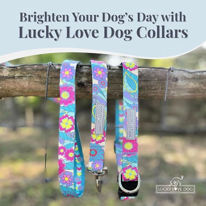 Lucky Love Dog Collars, Cute Small Dog Collars for Female Dogs, Part of Purchase Donated to Rescue, Caroline, Small