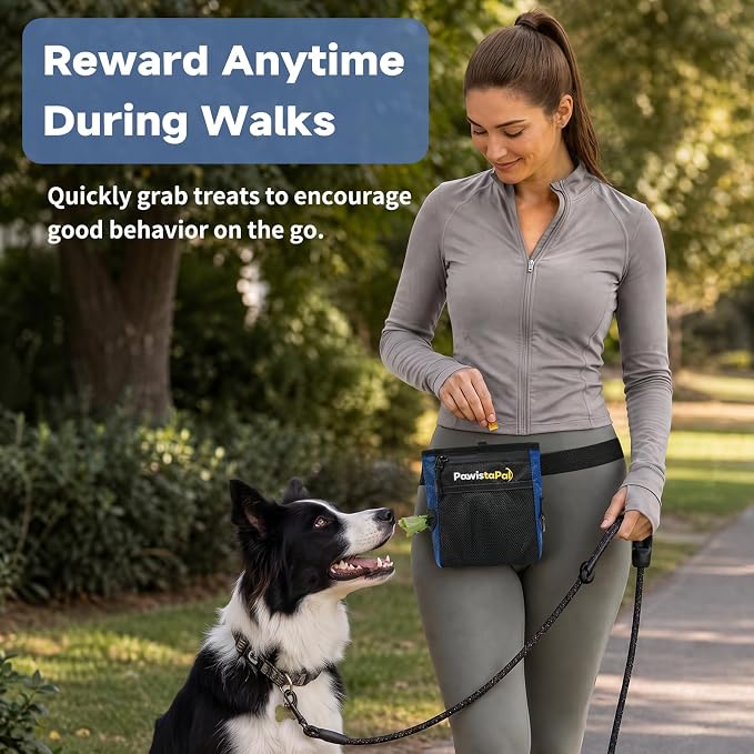 Dog Treat Pouch for Pet Training, One-Hand Magnetic Closure, Hands-Free Treat Bag with Silicone Liner, No Mess No Smell