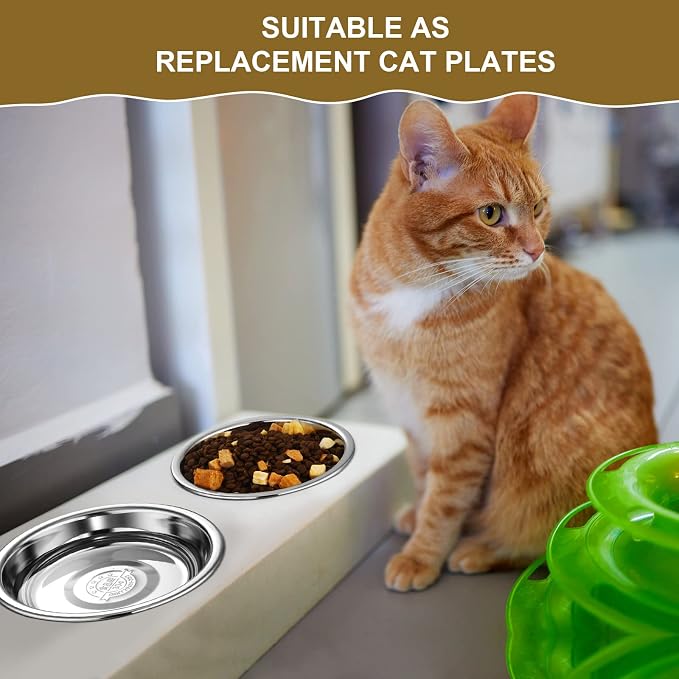 Mimorou 10 Pcs Stainless Steel Cat Bowls Bulk, Small Dog Shallow Food Bowls Replacement Metal Cat Dishes for Pet Food and Water, Dishwasher Safe(5.5 Inch Diameter)
