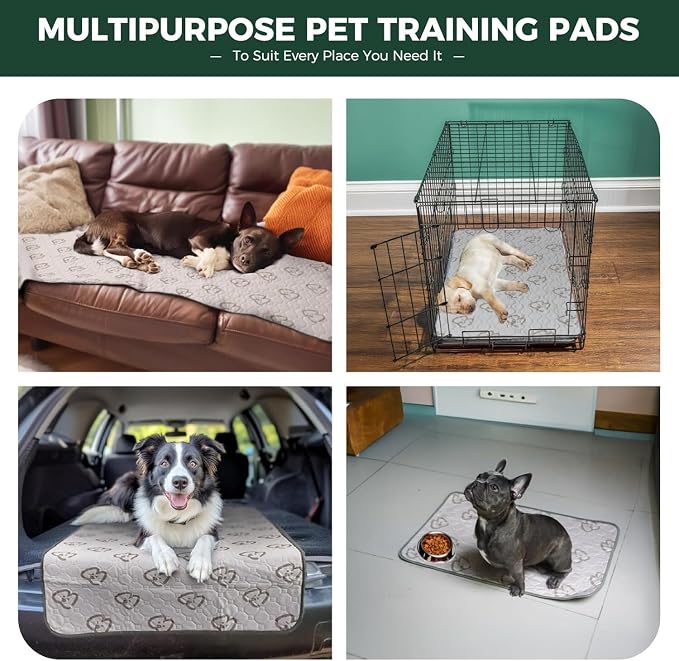 FXW Washable Pee Pads for Dogs, Super Absorbent, 23" x 35", 4 Packs | Machine washable, Non-slip backing