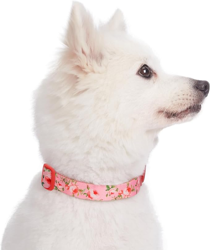 Blueberry Pet Dog Collar - Floral Rose Baby Pink Puppy Collar, Adjustable Dog Collars for Small Dogs, Small Dog Collar Neck 12"-16", Pink Dog Collar with Eco-Friendly Buckles