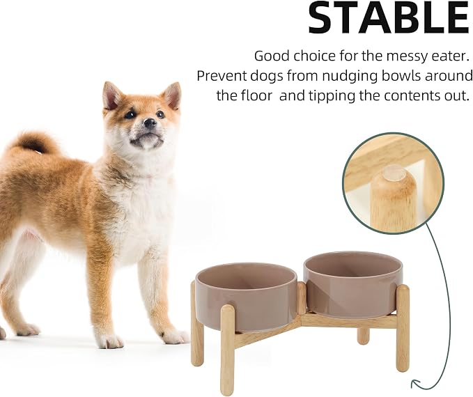 Havniva 6.1inch Ceramic Raised Dog Bowl with Stand, Double Dog Bowls Elevated for Small and Medium Breed Dog Food and Water Bowl Set Non-Slip Dog Dish Large Capacity Feeding Pet Water Bowl