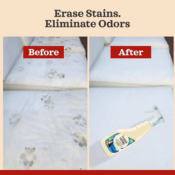 Pet Stain & Odor Remover Spray, enzyme cleaner for dog urine & poop carpet | Upholstery & Fabrics – Eliminates Cat Pee, Feces, Vomit & Tough Stains, Eco-Friendly, Vegan, Citrus Scent