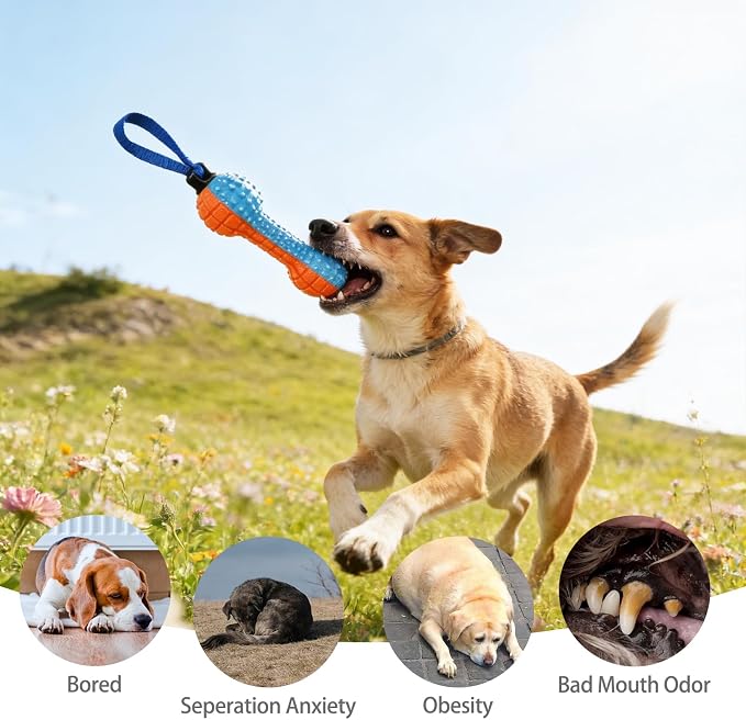 KOOLTAIL Floating Dog Toys,2 Pack TPR Water Pool Fetching Toy with Durable Rope for Small Medium Large Dogs,Bright Bumper Interactive Dog Chew Toys for Summer Outdoor Pool,Training&Teething