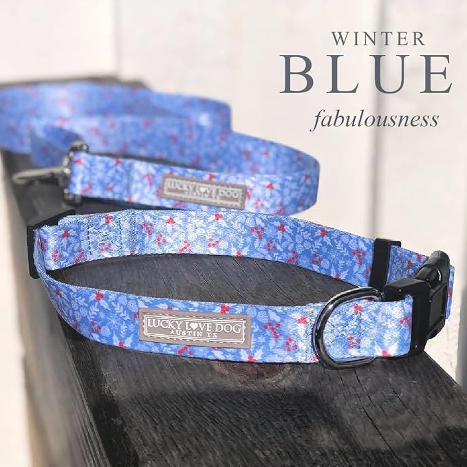Lucky Love Dog - Adjustable Dog Collar with Easy Click Buckle for Small Dogs, Durable, & Comfortable for Male & Female Dogs, Pet Collar for Puppies & Adult Ones - Winterblue, XS