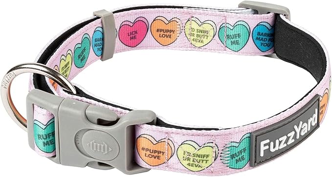FuzzYard Candy Hearts Dog Collar | Size S | Comfortable Neoprene Pet Collar for Everyday Walking & Training | Ideal Fit for Small Dogs