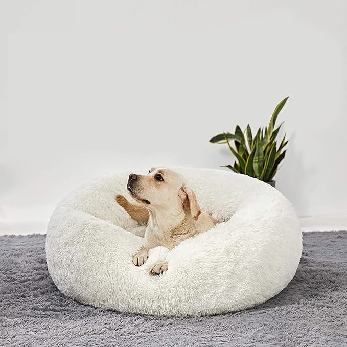 HACHIKITTY Calming Donut Cuddler Dog Bed, Round Fluffy Pet Bed for Large Dogs,Washable, Large, White, 30''