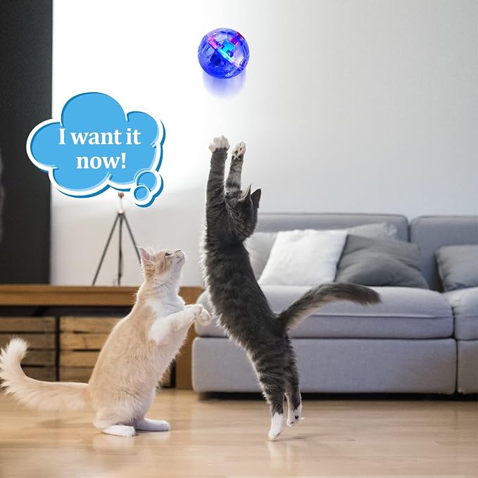 Jecery 9 Pcs Ghost Hunting Light Up Cat Balls LED Motion Activated Cat Toy Interactive Lighted Ball Pet Glowing Mini Running Exercise Toys for Kitten Dog Pet Animals Activity(Transparent)