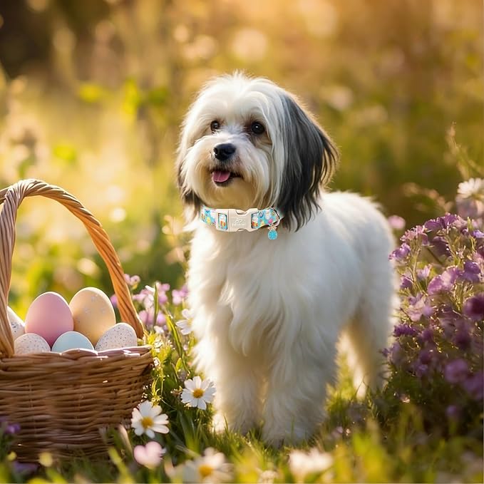 Easter Dog Collar for Small Dogs - Cute Easter Egg Hunt Dog Collars for Boy Girl Dogs, Playful Bunny & Chick Print, Lightweight Adjustable Spring Holiday Dog Collar S