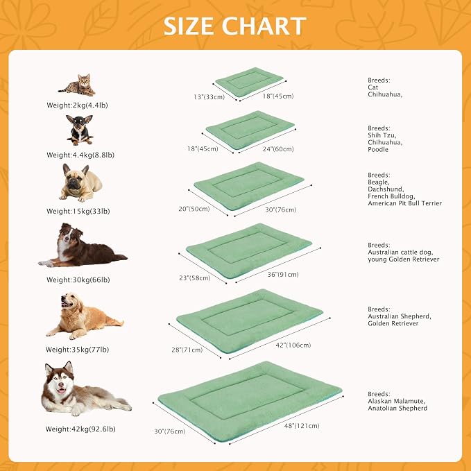 Reversible Dog Bed Mat with Plush and Corn Velvet,Soft Warm Pet Cushion, Dual Purpose Washable Sleeping Mattress Bed for Small Medium Large Dog and Cat XB004 (36"x23", Teal)