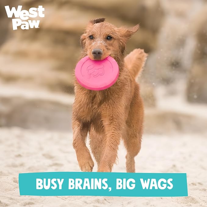 WEST PAW Zogoflex Zisc Dog Flying Disc, High Flying Aerodynamic Disc for Dogs Puppy – Lightweight, Floatable Disc for Fetch, Tug of War, Catch, Play – Doubles as Food/Water Bowl, Small 6.5", Teal