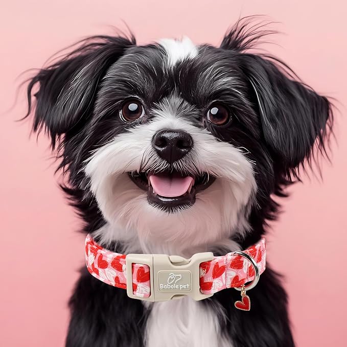 Valentines Dog Collar for Medium Dogs - Cute Pink Girl Dog Collar, Doodle Heart Pattern, Adjustable Valentine Dog Collars with Red Heart Charm M