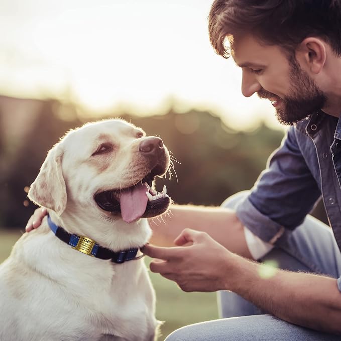Rugged & Refined: Immovable Slide-On Pet ID Tag - Silent No-Noise Design - Deep Laser Engraved Horology-Grade Steel - Extra Small | Brushed Stainless Steel