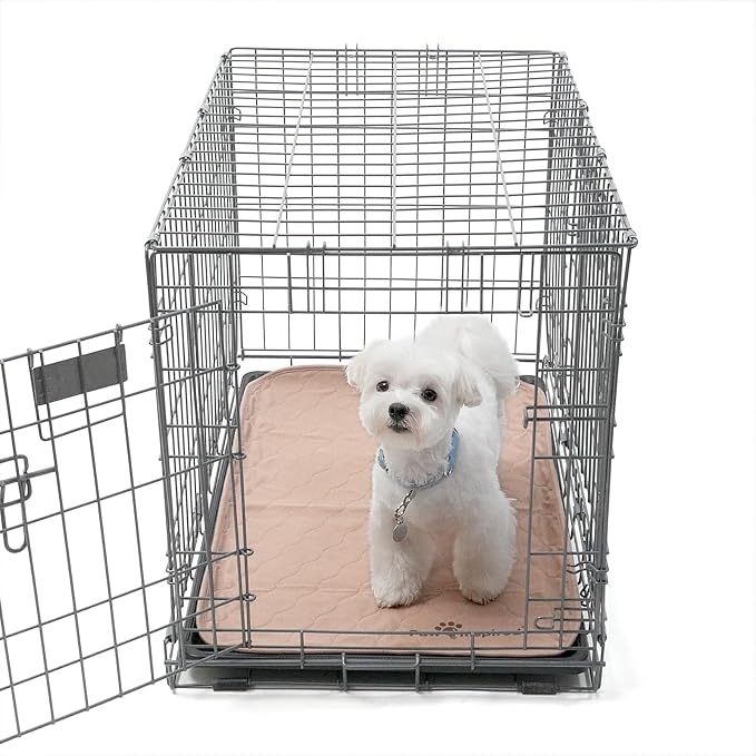 Paw Inspired Washable Crate Liners for Dogs, 29x18 Inch, Pack of 2 | Fits 30 Inch Kennels, Leakproof, Non-Slip Pee Pads, Reusable Puppy Pads for Potty Training, Whelping, Waterproof Pet Mat