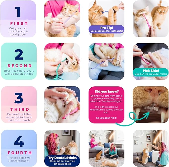 RYERCAT Dual Sided Cat Toothbrush - Kitten Toothbrush with Micro Head (Very Small) for Custom fit - Cat Dental Care Supplies - Pet Toothbrush for Cats (Shamrock Green)