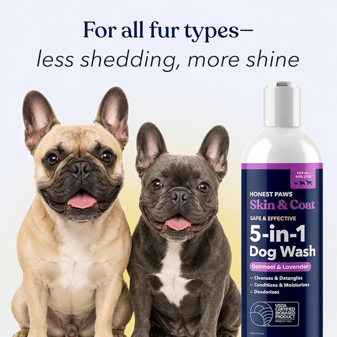 Oatmeal Lavender Dog Shampoo and Conditioner, Itchy Skin Relief, Allergies | Oatmeal Shampoo for Dogs, Anti-Itch Pet Shampoo for Dogs, for Allergies and Itching, Sensitive Skin, Smelly Dogs
