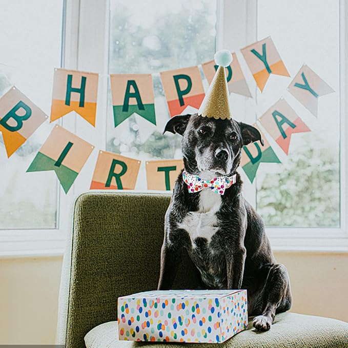 ·MR. CHUBBYFACE· Ballon Dog Collar with Bowtie, Cute Birthday Balloon Dog Collar with Metal Buckle, Adjustable Pet Collar for Small Medium Large Dogs