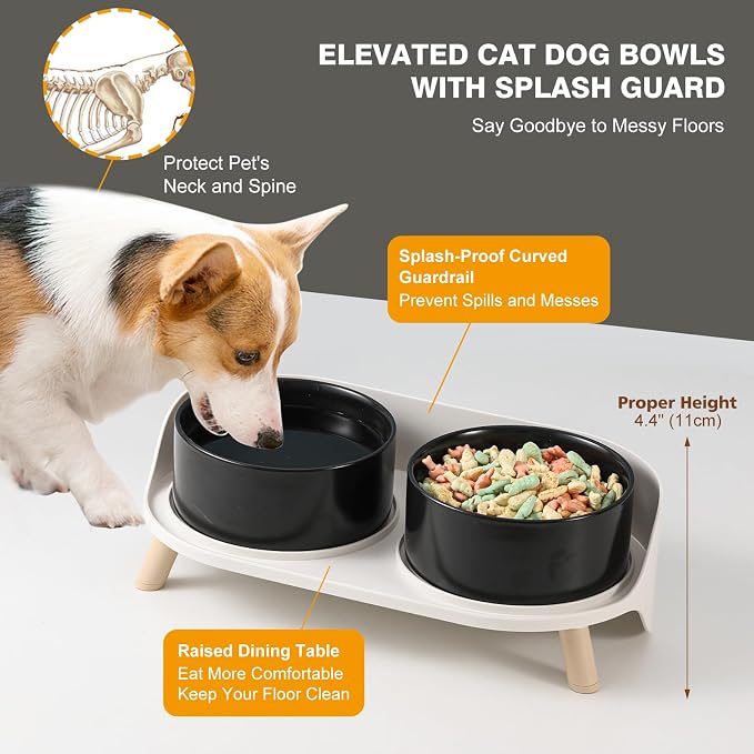 Elevated Ceramic Dog Bowl Set - Double Dog Feeding Bowls with Stand Splash Proof - Raised Dishes for Food and Water - Ideal for Small to Medium Dogs - 2 x 720 ml - 11.3 oz - Black