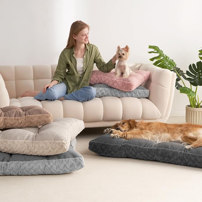 EHEYCIGA Washable Small Dog Bed for Crate 23x18 Inch, Kennel Pad for Puppy Up to 25 lbs, Plush and Comfy Pet Sleeping Mat, Beige