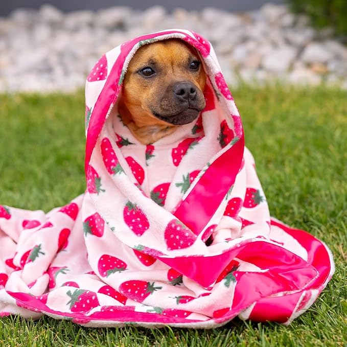 Darren & Phillip Cutie Frutti Strawberry Blanket - Ultra-Soft Blankets Made with Plush Fleece - Perfect as a Dog Bed Blanket or for Cuddling with Your Pup - Ultra-Snuggly Blankets for Dogs & Humans