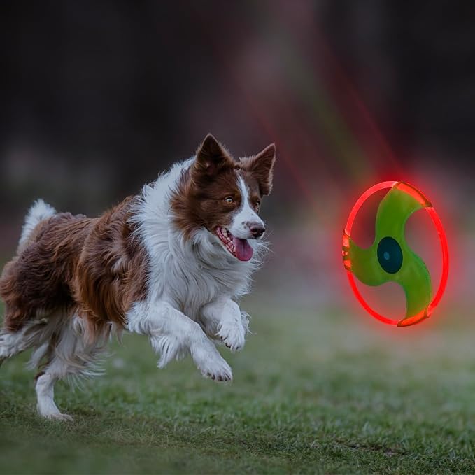 LED Dog Flying Disc, Rechargeable LED Light Dog Flying Disc Flyer Pet Toys, Glow in The Dark Pet Toy with 3 Light Models, High Visibility Lighted Pet Training Throwing Playing for Exercise