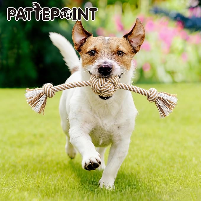 Dog Rope Toy for Small Dog 3pcs, Natural Chew Toys for Puppy, Medium & Small Dogs, Tug of War Rope for Puppies Clean & Relieve Teething