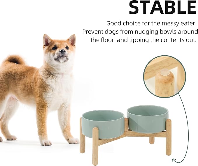 Havniva 6.1inch Ceramic Raised Dog Bowl with Stand, Double Dog Bowls Elevated for Small and Medium Breed Dog Food and Water Bowl Set Non-Slip Dog Dish Large Capacity Feeding Pet Water Bowl