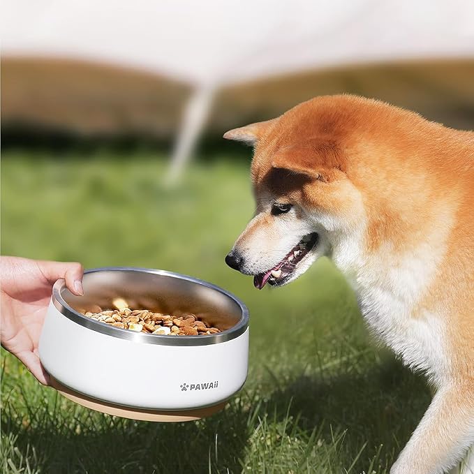 Pawaii Dog Bowl, 34 oz Stainless Steel Food and Water Bowl, ID Tag, 1 Pack | Double-Wall Design,Non-Slip Rubber Base,Dishwasher Safe,Smooth Open Design, Not a Slow Feeder,Easy-Rinse Interior