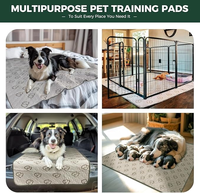 FXW Washable Pee Pads for Dogs, Super Absorbent, 39" x 63", 1 Pack | Machine washable, Non-slip backing, Fits 24"H 6-Panel FXW Rollick/Homeplus Playpens