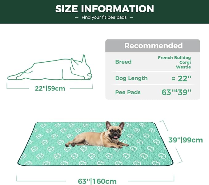 FXW Washable Pee Pads for Dogs, Super Absorbent, 39" x 63", 1 Pack | Machine washable, Non-slip backing, Fits 24"H 6-Panel FXW Rollick/Homeplus Playpens