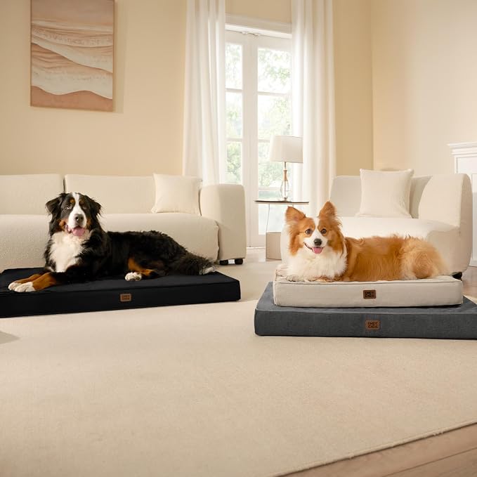 EHEYCIGA Large Memory Foam Dog Crate Bed Washable, 35x23Inch, Black | High Density Egg Crate Foam, Waterproof Liner, Removable Easy Clean Cover, Non-Slip Bottom, Fits Crate, Floor and Sofa