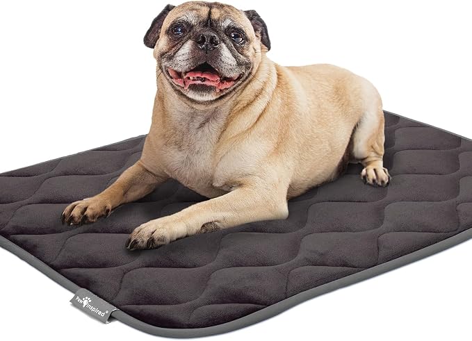 Paw Inspired Washable Padded Crate Mats for Dogs, Gray, 29x18 Inch | Fits 30-inch Kennels, Leakproof, Waterproof Bottom, Plush Dog Pad, Pet Bed