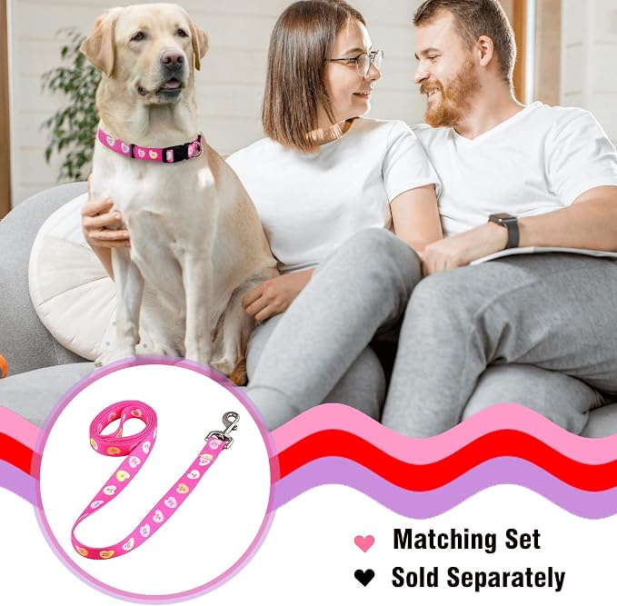 Native Pup Valentine’s Dog Collar- Valentines Day Pet Collars- Valentine Girly Hearts- Pink Red Heart- Cute Boy Girl Puppy Gift- Adjustable for Small, Medium, Large Breeds (Candy Hearts, Medium)