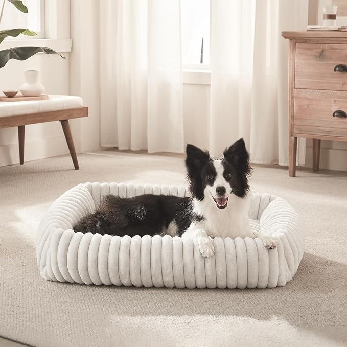 FURTIME Dog Bed for Small Dogs, Washable Orthopedic Dog Bed with Removable Cover, Rectangle Soft Calming Sleeping Puppy Bed Durable Pet Cuddler with Anti-Slip Bottom, Cream, S (20"x19"x6")