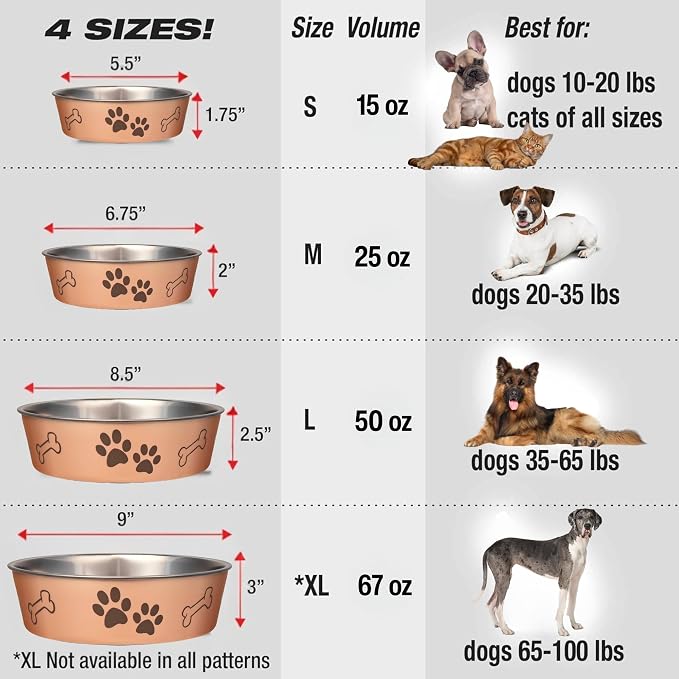 Loving Pets Bella Dog Bowls- Stainless Steel Dog & Cat Bowls - Spill Proof Dog Food Bowl, Cat Bowl, Puppy Essentials & Pet Supplies Great for Home & Travel (X-Large 65-100lbs, Champagne)