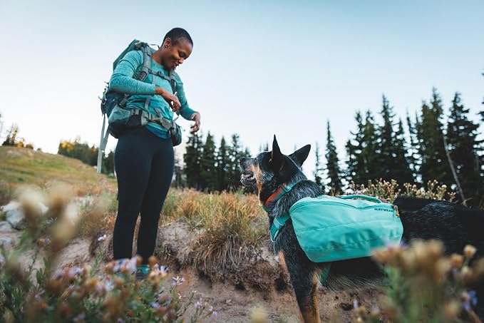 Ruffwear, Front Range Dog Collar, Adjustable Tubelok Webbing, Lightweight, Side Release Buckle, Aluminum V-Ring, Durable for Everyday Use, Basalt Gray, 14"-20"