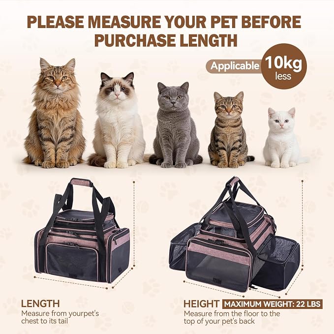 Cat Carrier Soft Sided, Expandable Pet Carrier for Medium Small Pets, Collapsible Travel Carrier with Hard Shell, 360° Panoramic Mesh, Washable Waterproof Pad | – 17.3×13.8×9.4 (Black)