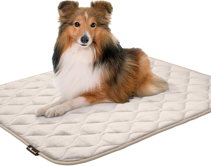 Paw Inspired Washable Padded Crate Mats for Dogs, Beige, 41x28 Inch | Fits 42-inch Kennels, Leakproof, Waterproof Bottom, Plush Dog Pad, Pet Bed