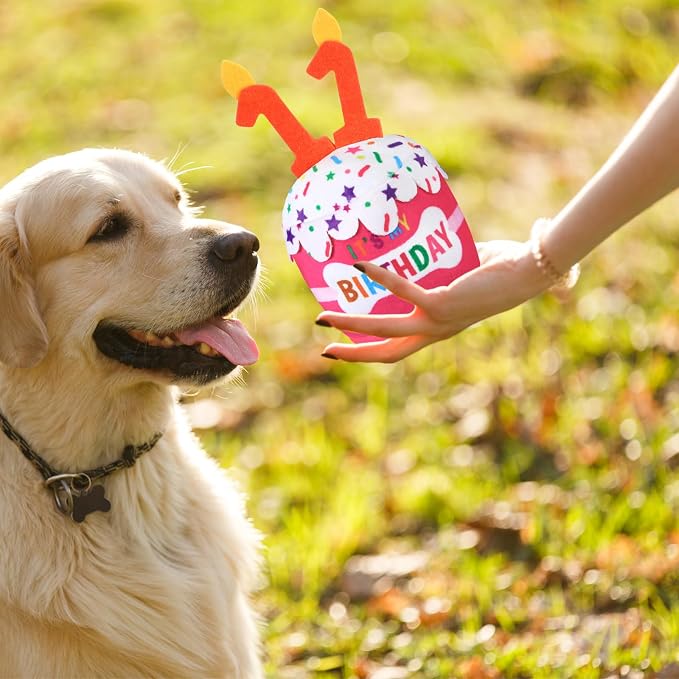 Dansydaisy Dog Birthday Cake Toy Squeaky Plush Toy for Girl Boy Gifts, Chew Accessories for Dog Birthday Party Decor Favor for Large, Medium and Small Dogs(11th,Pink)