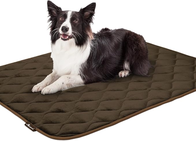 Paw Inspired Washable Padded Crate Mats for Dogs, Dark Brown, 47x29 Inch | Fits 48-inch Kennels, Leakproof, Waterproof Bottom, Plush Dog Pad, Pet Bed