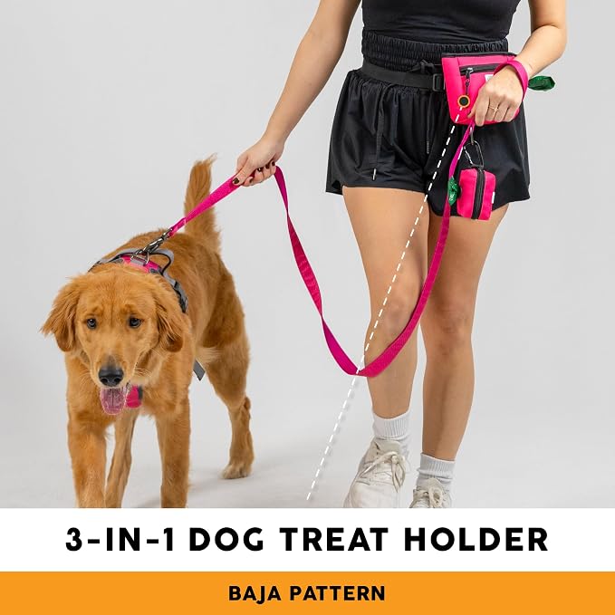 Embark Dog Treat Pouch - Waterproof Training Bag & Portable Water Bowl | Leakproof Treat Bag with Hook, Magnetic Closure, Extra Pocket for Phone & Keys with Poop Bag Outlet For Dogs - Black